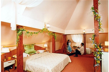 Šeiminis pensionas Poiana Braşov 5